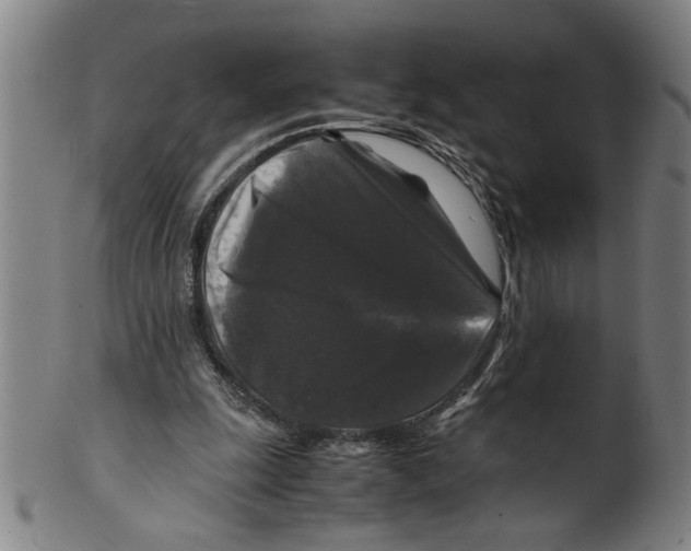 X0000099410247200806060938