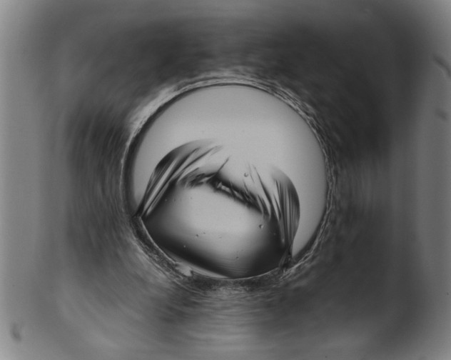 X0000099410248200806060938