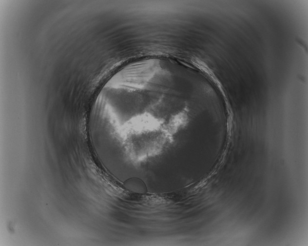 X0000099410249200806060938