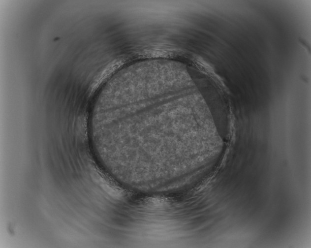 X0000099410250200806060938