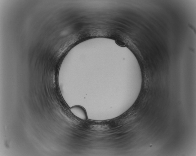 X0000099410251200806060938