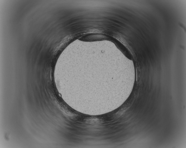 X0000099410253200806060938