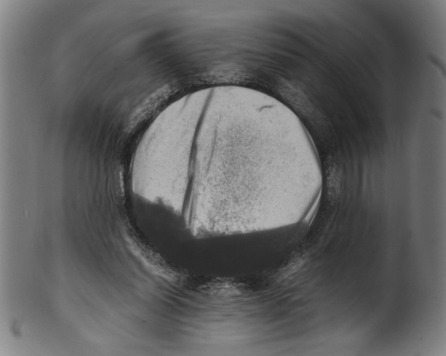 X0000099410254200806060938