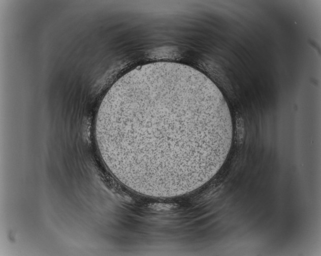 X0000099410255200806060938