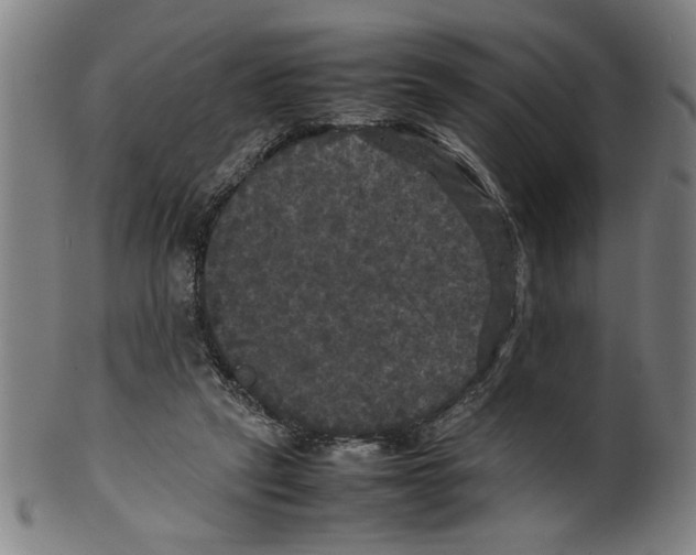 X0000099410257200806060938