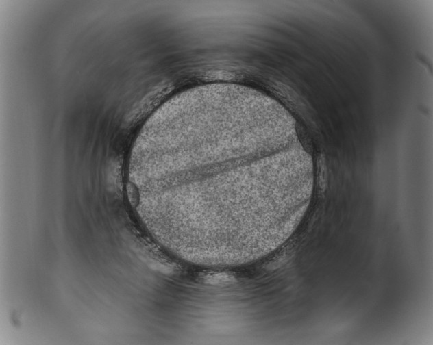 X0000099410258200806060938