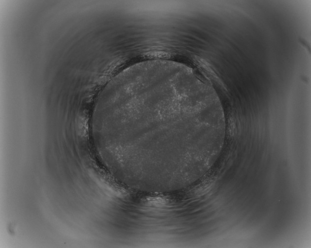 X0000099410259200806060938