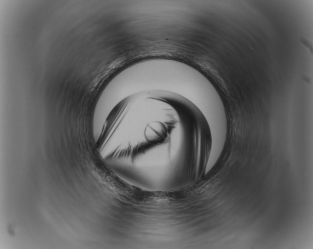 X0000099410260200806060938