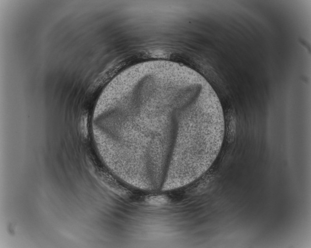 X0000099410262200806060938