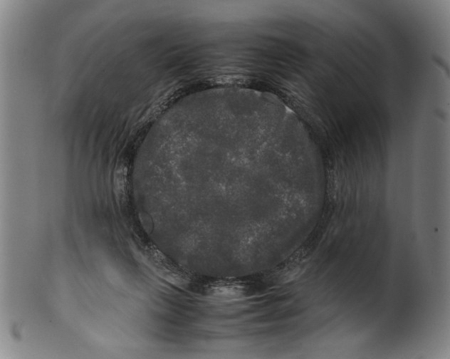 X0000099410263200806060939