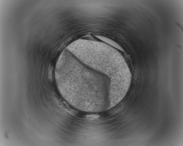 X0000099410266200806060939