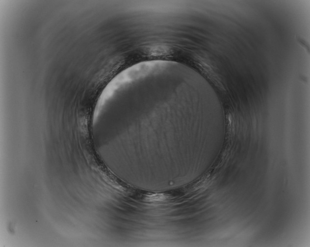 X0000099410269200806060939