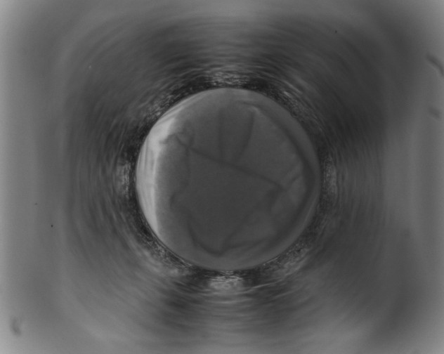 X0000099410271200806060939