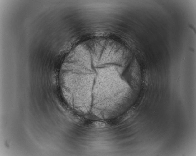 X0000099410272200806060939