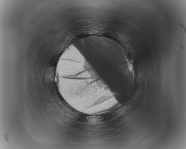 X0000099410273200806060939