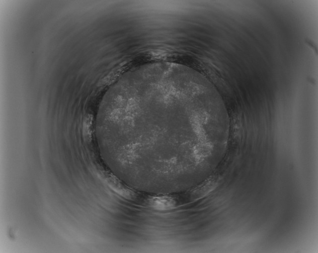 X0000099410275200806060939