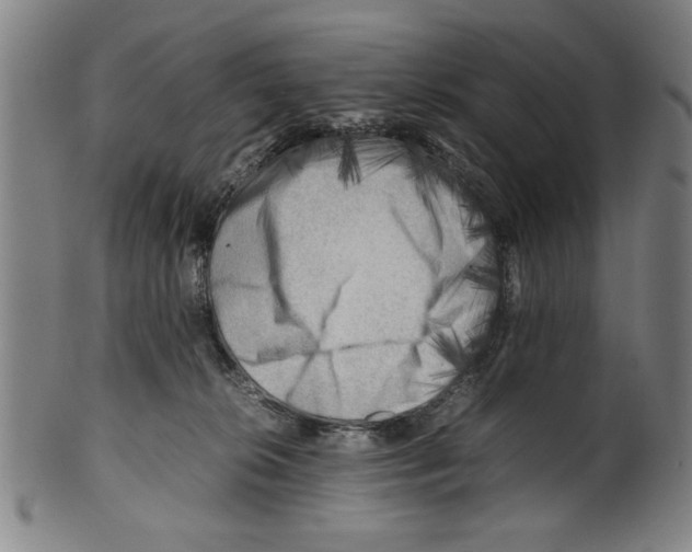 X0000099410276200806060939