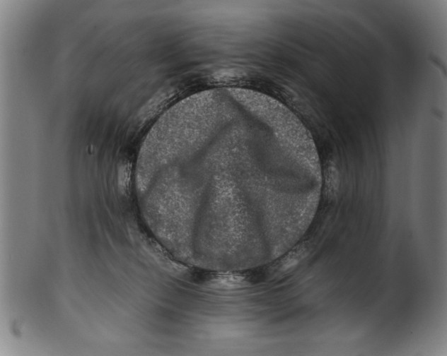 X0000099410278200806060939