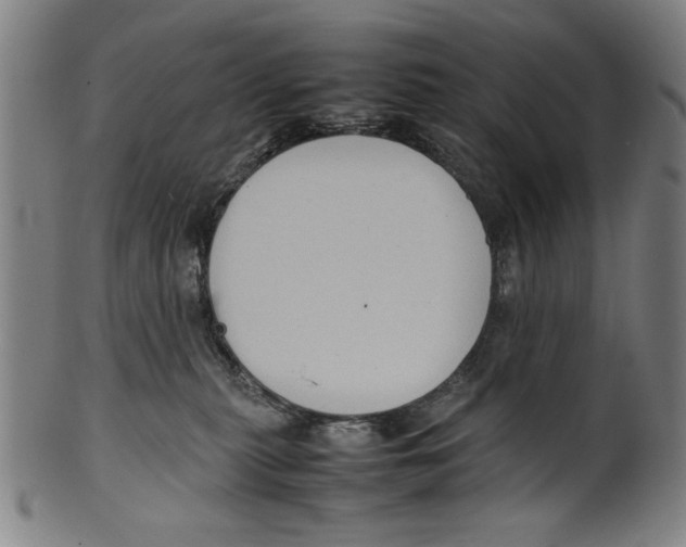 X0000099410279200806060939