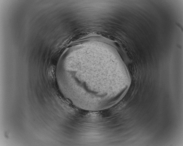 X0000099410280200806060939