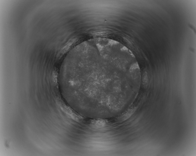 X0000099410282200806060939