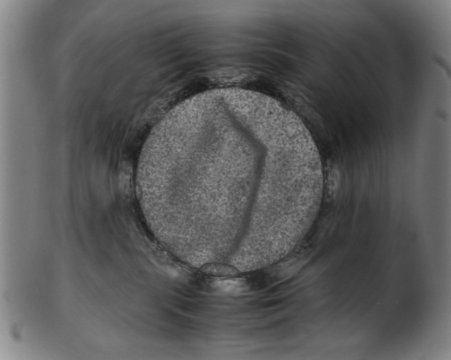 X0000099410283200806060939