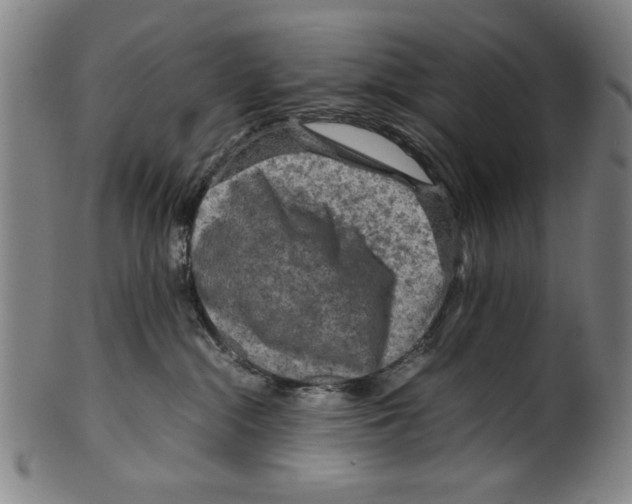 X0000099410284200806060939