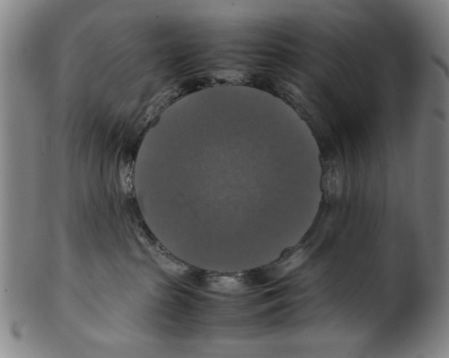 X0000099410285200806060939