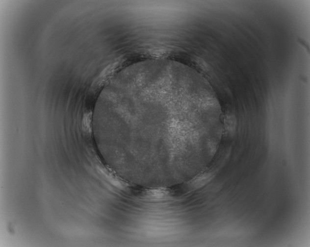 X0000099410286200806060939