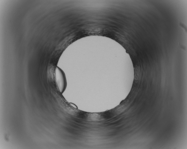 X0000099410287200806060939