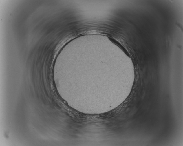 X0000099410289200806060938