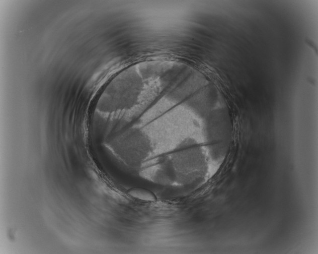 X0000099410290200806060938