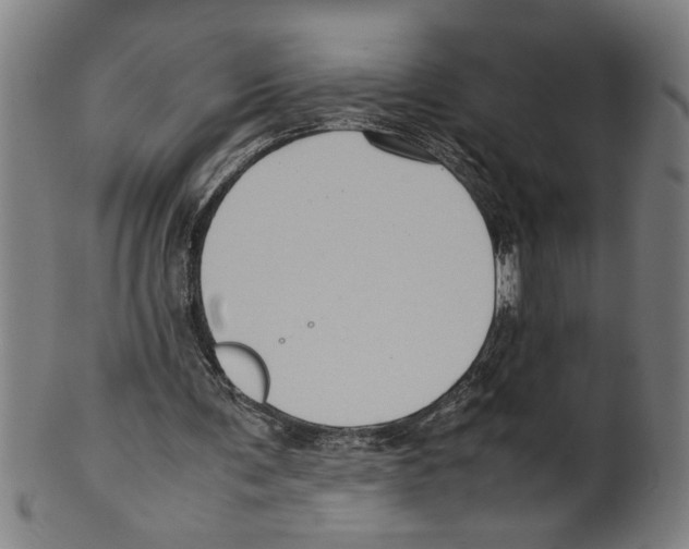 X0000099410291200806060938