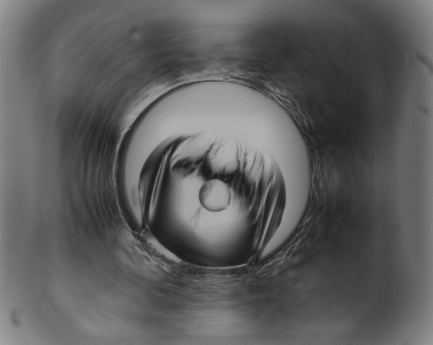 X0000099410292200806060938