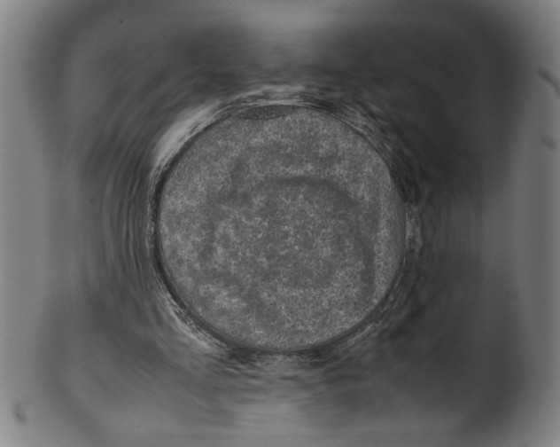 X0000099410293200806060938