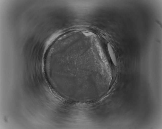 X0000099410294200806060938