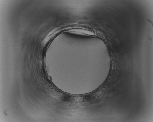 X0000099410295200806060938