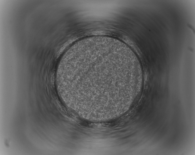 X0000099410297200806060938