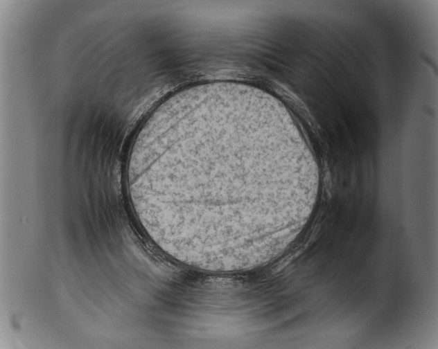 X0000099410298200806060938