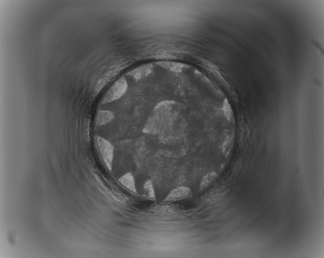 X0000099410299200806060938