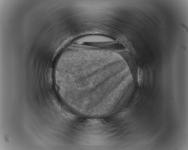 X0000099410300200806060938