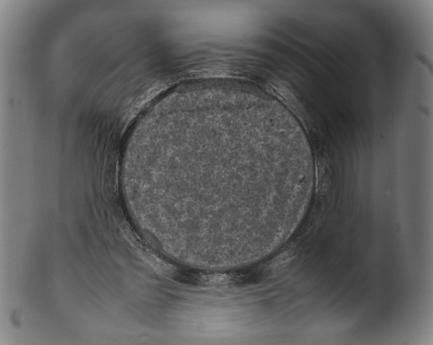 X0000099410301200806060938