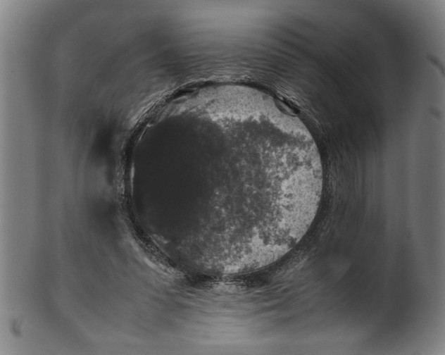 X0000099410303200806060938