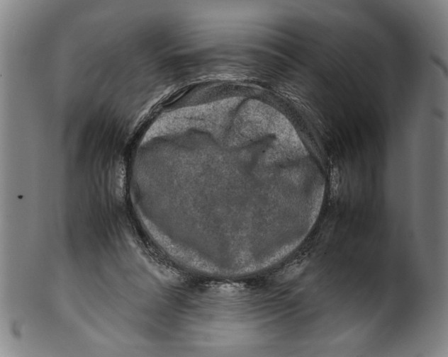 X0000099410304200806060938