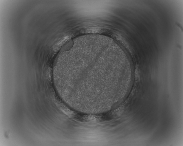 X0000099410305200806060938