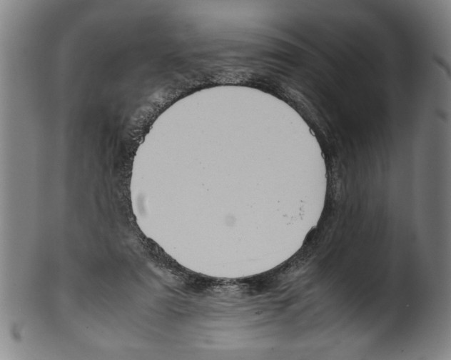 X0000099410307200806060938