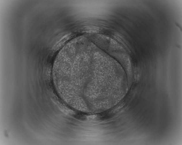 X0000099410309200806060938