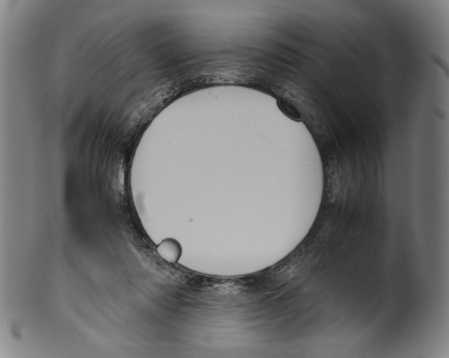 X0000099410310200806060938