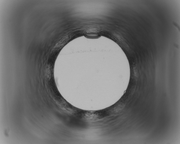 X0000099410311200806060938