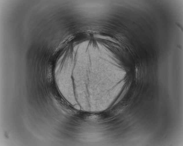 X0000099410312200806060938